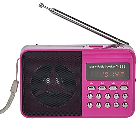 Portable FM Wireless Radio with Headphone Jack U Disk/SD Card/TF Card Antenna Radio Outdoor MP3 Player Portable Mini Speaker USB Charging(Pink)
