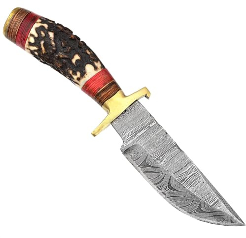 Damascus Steel 6 Knife, Handmade Hunting and Camping Knife, Handmade Gift, Stag Horn with Colour Wood Spacers with Brass Guard