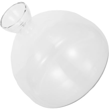 Alipis Vase Hydroponique Verre Transparent pour Pousse Avocat Grand Pot Stable pour Propagation de Plantes Décoration Élégante de Table Intérieur et Extérieur