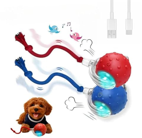 OALYGEI Teddyloo Palla Interattiva,Palla Giocattolo Interattiva per Gatti e Cani, Elettrica con Suono di Uccello, Tre Modalità e Ricarica USB (Rosso e blu)