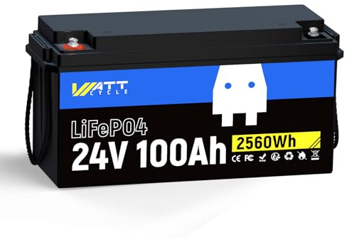 Batería LiFePO4 24V 100Ah Litio, BMS 100A Integrado, 20000 Ciclos, Ideal Motores Pesca, Solar, Autocaravana, Barco (1 ud)