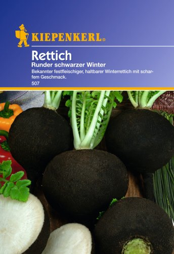 Sperli Gemüsesamen Rettich runder schwarzer Winter, grün