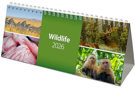 2026 World Wild Life Desk Calendar (CL08)