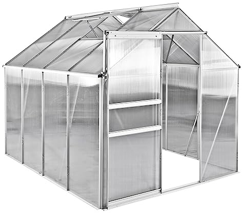 Gewächshaus Frühbeet Treibhaus Pflanzhaus mit 2 Dachfenstern Basic 6 253x192x194 cm