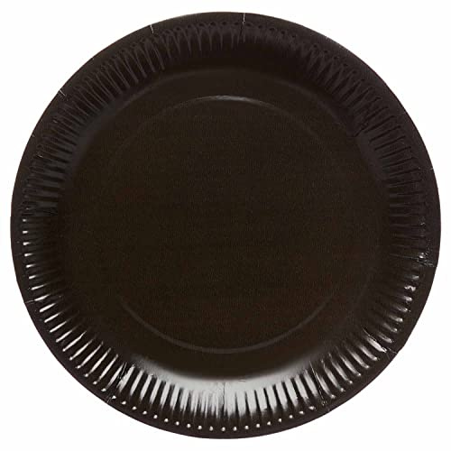 Amscan 9915400-216-66 - Charcoal Black Eco-Friendly Recyclable Paper Party Plates - 8 Pack
