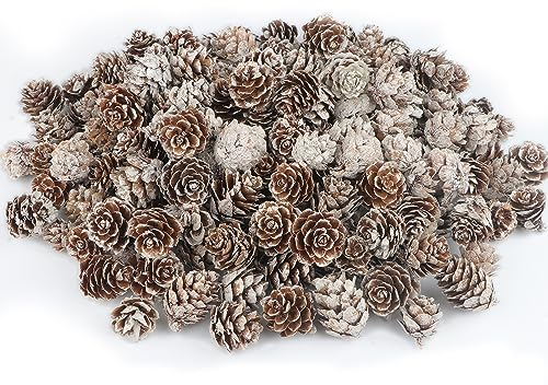 200PCS Mini Snow Pine Cones Christmas Natural Pinecones with White Paint Pine Cones in Bulk for Home Party Crafts Gift Wedding Christmas Tree Winter Decoration