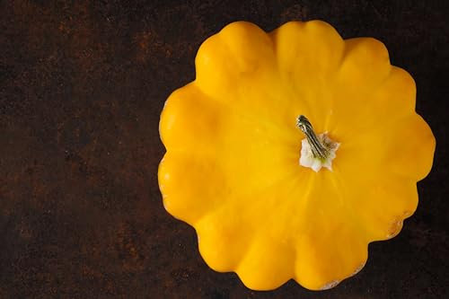 Sachet de graines de Courgette pâtisson orange - Sachet de 1 grammes - Graines de style