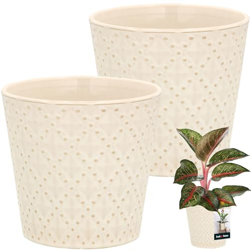 KOTARBAU® Vintage Blumentopf Übertopf Keramik Cremefarben ⌀ 12 cm Höhe 13 cm Keramik glasiert 2 St. Trapez Blumenübertopf groß Übertöpfe für Zimmerpflanzen Blumentopf
