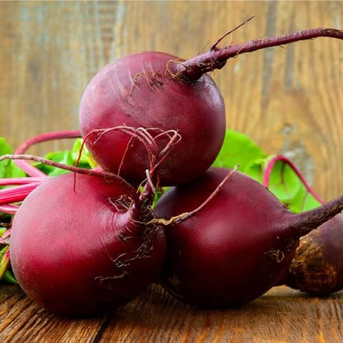 400 Graines de Betterave Ronde de Détroit - 400 graines - Fleur Légume Jardin - 225