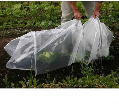 Greenhouse Tunnel Foil Plastic Horticultural Cover Low Density Polyethylene Sheet for Plant for PROTECTION (2.5 m)