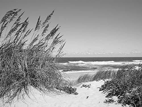 Feeling at home LEINWANDDRUCK im SCHATTENFUGENRAHMEN Dünenpfad Turek Eve - Meer horizontal Kunstbilder im Holzrahmen cm_60_X_78