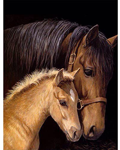 MXJSUA 5D Diamant Painting Bilder Pferde Erwachsene Set, Tiere Diamond Painting Erwachsene Diamant Painting Pferde 30x40 cm