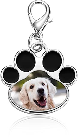 PiercingJak Personalisierte Schlüsselanhänger mit Foto Gravur Hund Katze Pfote Memorial Anhänger Andenken Erinnerung Schmuck Charm Zubehör Individuelle Geschenke für Unisex, Silber