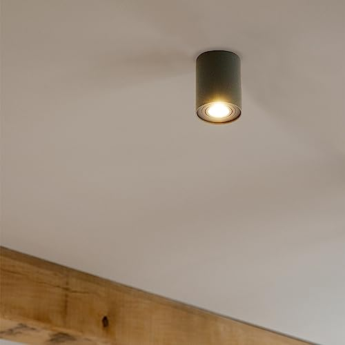 QAZQA - Modern Spot I Spotlight I Deckenspot I Deckenstrahler I Strahler I Lampe I Leuchte dunkelgrau dreh- und neigbar - Rondoo up I Wohnzimmer I Schlafzimmer - Aluminium Zylinder - LED geeignet GU10