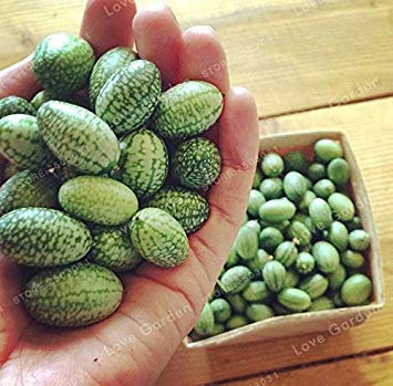 . Rare Watermelon Very Sweet 30Pcs/Bag Variation Fruit Plant Water Melon Plant for Home Garden Easy-Growing: Violet
