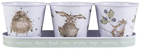 Wrendale Designs Set of 3 Herb Pots With Tray