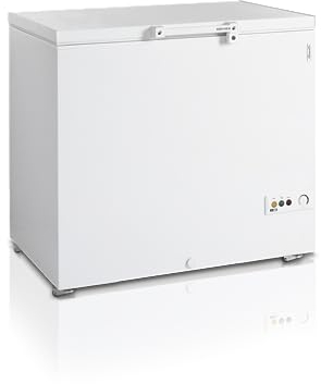 Congélateur Coffre FR305 - TEFCOLD