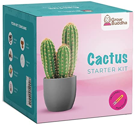 Cactus Kit Grow Your Own Cactus Seeds Starter Kit - Easily Grow Beautiful Varieties of Cactus Plants with Our Complete Beginner Friendly Indoor Cacti Starter kit – House Plant - Unique Men Women Gifts