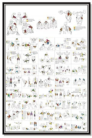 Ling88 Bilder,Poster,Kunstdrucke,Kurzhantel-Workouts Und Langhantel-Übungsposter ， Kurzhantel-Übungsroutine Langhantel-Trainingsplakat Dekorative Malerei ， Dekorationsmalerei Für Turnhallen-30X40Cm