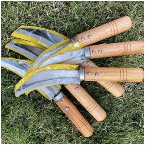 Wisafory 3 Stück Ananasmesser Gemüsemesser mit Holzgriff Obstmesser Fruchtmesser Bananenmesser Ananasschneider Küchenmesser Tragbares Grillmesser Zuckerrohrmesser für Restaurant Home