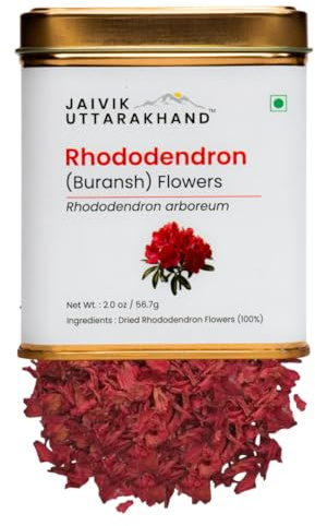 Jaivik Uttarakhand - Rhododendron (Buransh) Flower Tea (02 oz/56.7 g), Natural Himalayan Herbal Tea, Earthy Floral Tangy Taste, No Preservatives, Pack of 1 Tin Can