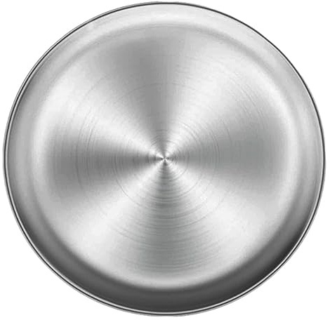 Licsaliwe Plat à pizza rond en acier inoxydable, plateau en métal multifonctionnel pour la cuisson, servir des fruits et des gâteaux (30 cm)