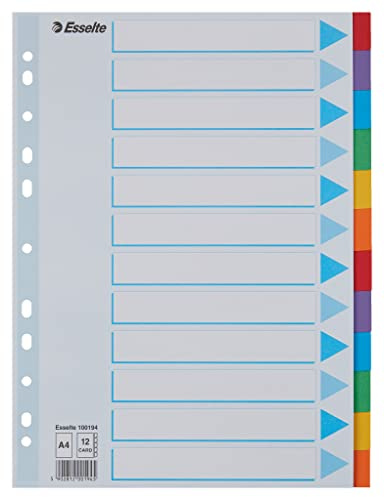Leitz Esselte Register für A4, Deckblatt und 12 Trennblätter mit Taben, Blau/Mehrfarbig, Recyclingkarton, 100194