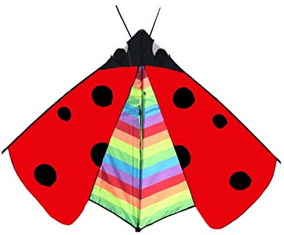 LOVIVER Großer Delta Kite Single-Line Flying Toys Neuheit Dreieck Marienkäfer Kite für Sporturlaub Outdoor Familienausflüge Strand