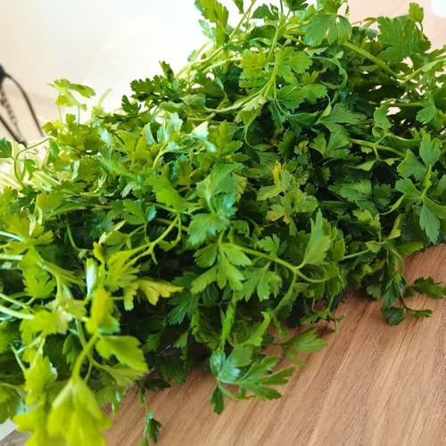 semi di crescione microgreens semi di aromatiche invernali verdi aromatiche da giardino da cucina esotico balcone serra raro 200pcs
