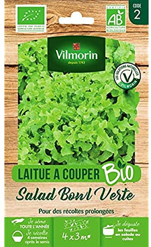 VILMORIN - Laitue à Couper Salad Bowl Verte BIO - Récolte 4 Saisons - Variété Très Productive : Jusqu'à 3 Récoltes - Feuillage Vert-Blond - Vigoureuse - Résistante à la Chaleur - Sachet de 4 g