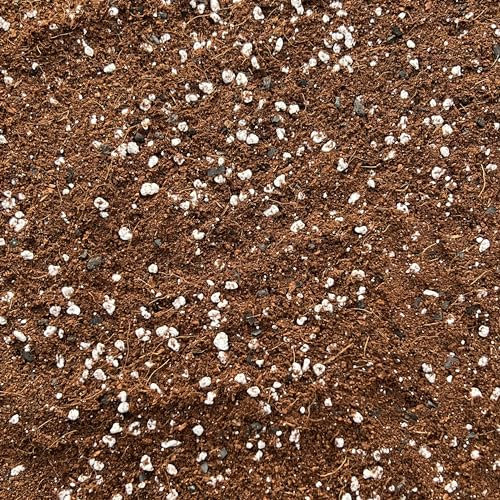 Premium Terrarium Potting Mix with Perlite & Activated Biochar – Nutrient-Rich Soil for Succulents, Moss, Air Plants & Tropicals – Superior Drainage, Root Health (5L)