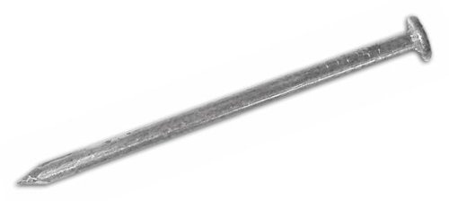 Chiodi in Ferro Lucido TP Testa Piana 20x100 mm Cavatorta confezione 5 KG