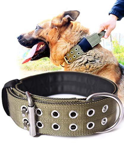 PP COLOR Hundehalsband für große Hunde – 5,1 cm breite Taktische Halsbänder mit Griff extra Hunderassen, Camouflage, strapazierfähig, 0,6 Dickes Welpenhalsband, K9 Nylon, Haustierhalsband L | 1/3 Zoll dickes Nylon, Neopren gepolstert, plus Edelstahl-Dornschließe, für starke und garintartige Rassen, Nackenschutz