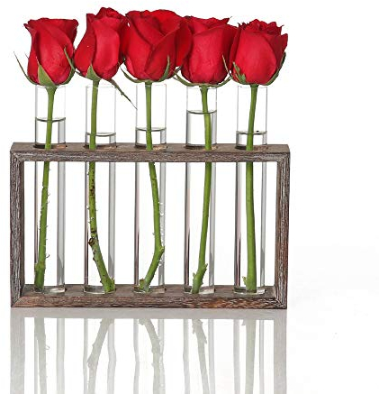 EylKoi Propagation Stations Tabletop, Propagation Tubes with 5 Test Tubes, Propagating Hydropoinc Plants, Plant Terrarium with Wooden Stand, Home Office Decoration Hydroponic Vase