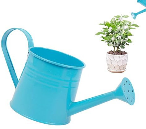 Arrosoir de jardin de 1 L avec long bec, seau d'arrangement floral en métal, idéal pour le jardinage extérieur/intérieur, vases élégants, rose/rouge/jaune/bleu