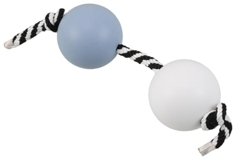 BIUDECO Asalato Juggling Tool Bleu Blanc Shaker Percussion à Main Antibreakage Instrument Africain pour Garçon Fille et Étudiants Musique