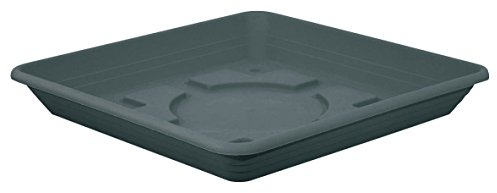 Geli Nora Soucoupe pour pot de fleurs, pot de fleurs, anthracite, carré, en plastique, taille 4