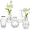 Hewory Mini Vaso Vetro Trasparente 5 Pezzi, Piccolo Vasi per Bonsai Vasi Moderni Vaso Decorativo da Interno, Accessori Decorativi per Arti Moderne, Alti 15cm