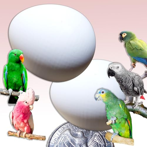 DummyEggs Plastic Parrot - 2 Solid Medium 1-1/2 x 1-1/4 (3.7 x 3cm) Non-Toxic Dummy Eggs for African Grey, Eclectus, Azn Parrot Tricks Your Parrot Everytime!