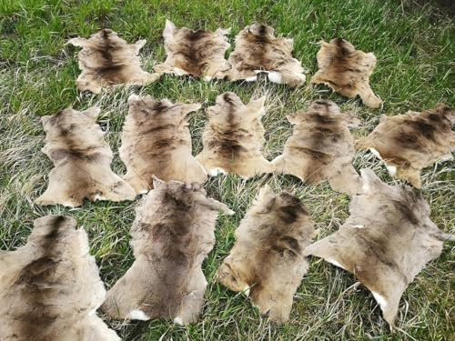 Provellus 6 x deer fur deer fur winter fur deer blanket saddle cover decoration eco 2nd choice