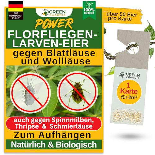 GREEN GUARDIA Power – Uova contro afidi e pidocchi – 1 mappa – Agente biologico per efficace lotta contro afidi e pidocchi di lana per piante da interno e ornamentali e molto altro ancora.