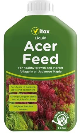 Vitax Acer Tree Feed Liquid 1L – Concentrated Fertiliser for Japanese Maples and Acers Resilient Plant Garden Food Gardening Lawn Fertiliser – Promotes Foliage Colour Green - 1 Pack