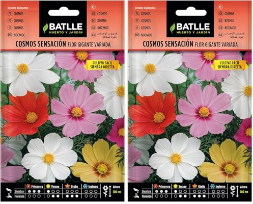 Semillas de Flores - Cosmos Sensación Flor Gigante variada - Batlle (Paquete de 2)