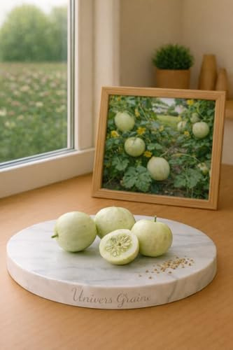 10 Graines Concombre Crystal Apple – Cucumis sativus – Concombre rond blanc – Variété ancienne – Graines potager - Legume - Jardin - 478