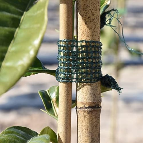 Suinga - Grünes RAFFIA-BAND 3 cm x 50 m. Perfekte Bastkrawatte, um die Pflanze schnell und sicher mit ihrem Tutor zu verbinden