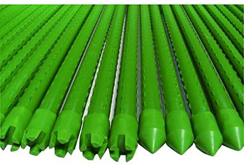 10 Pezzi Supporto Per Piante 150cm Ø16mm, Canne In Acciaio Plastificato, Bastone Orti, Colore Verde, Tanti Misure (1,6X150cm)