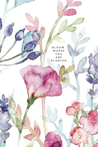 Bloom where you are planted: 2025