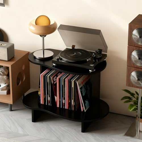 MAAOBR Soporte para Tocadiscos de 2 Niveles, Mesa para Discos de Vinilo para Discos, Muebles de Grabador, Estantería para Estudio, Dormitorio, Estilo Industrial(Negro)