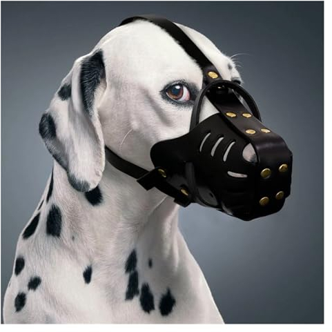 KANGYEBAIHUODIAN Maulkorb for Hunde aus echtem Leder, Anti-Biss-Maulkorb for Hunde, Traning-Maulkorb, kein Biss, Anti-Bell-Haustiermaske, passend for mittelgroße und große Hunde, Pitbull, Labrador (C