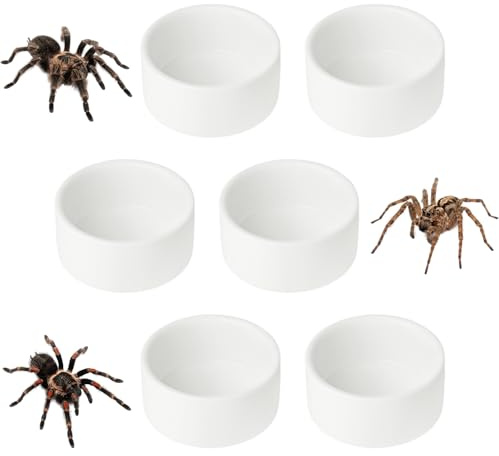 6 Pcs Spider Micro Small Ceramic Water Bowl, Mini Pet Dish for Spider 1oz